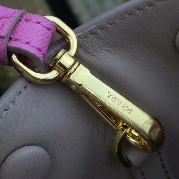 cohotbag Pra*a paradigme 3845