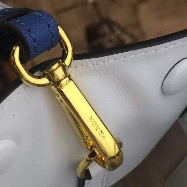 cohotbag Pra*a paradigme 3863