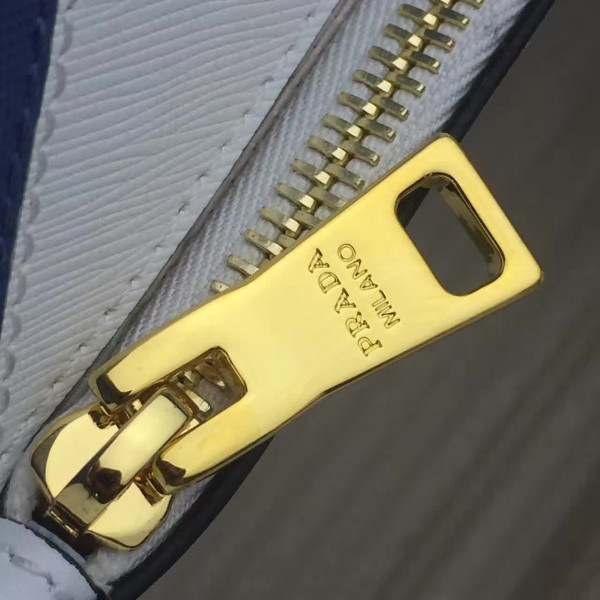 cohotbag Pra*a paradigme 3863