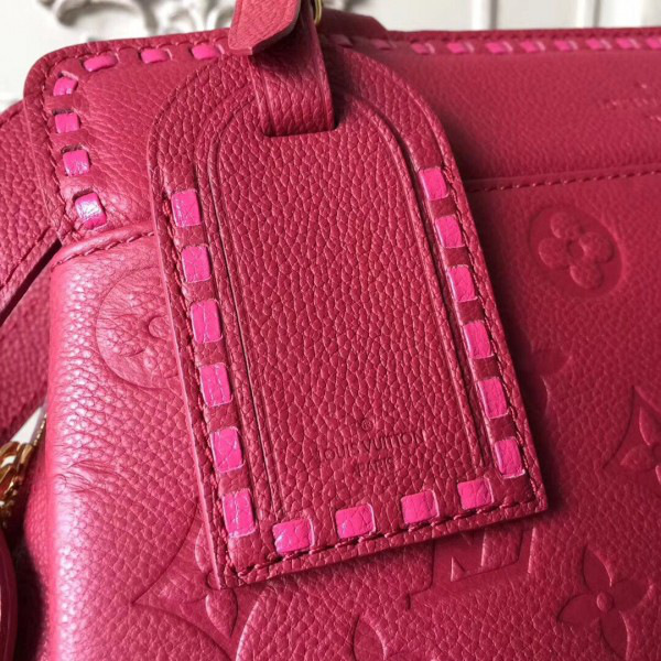 cohotbag l0vis Vvtt0n vosges mm m43738 3199