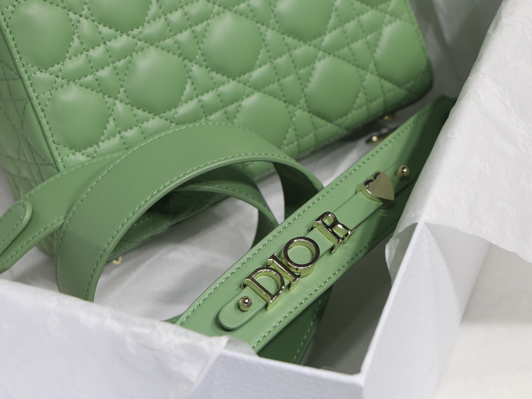 D10r lady D10r my abcD10r bag green m0538 20cm