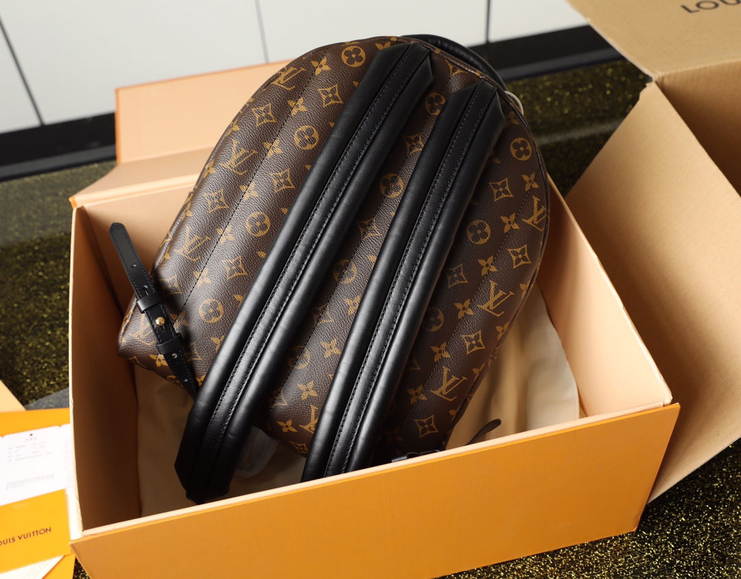 l0vis Vvtt0n palm springs mm backpack m44874 30cm