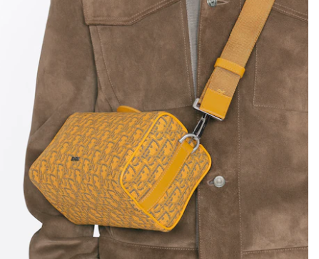 D10r lingot 22 bag gold-tone D10r oblique jacquard 22cm