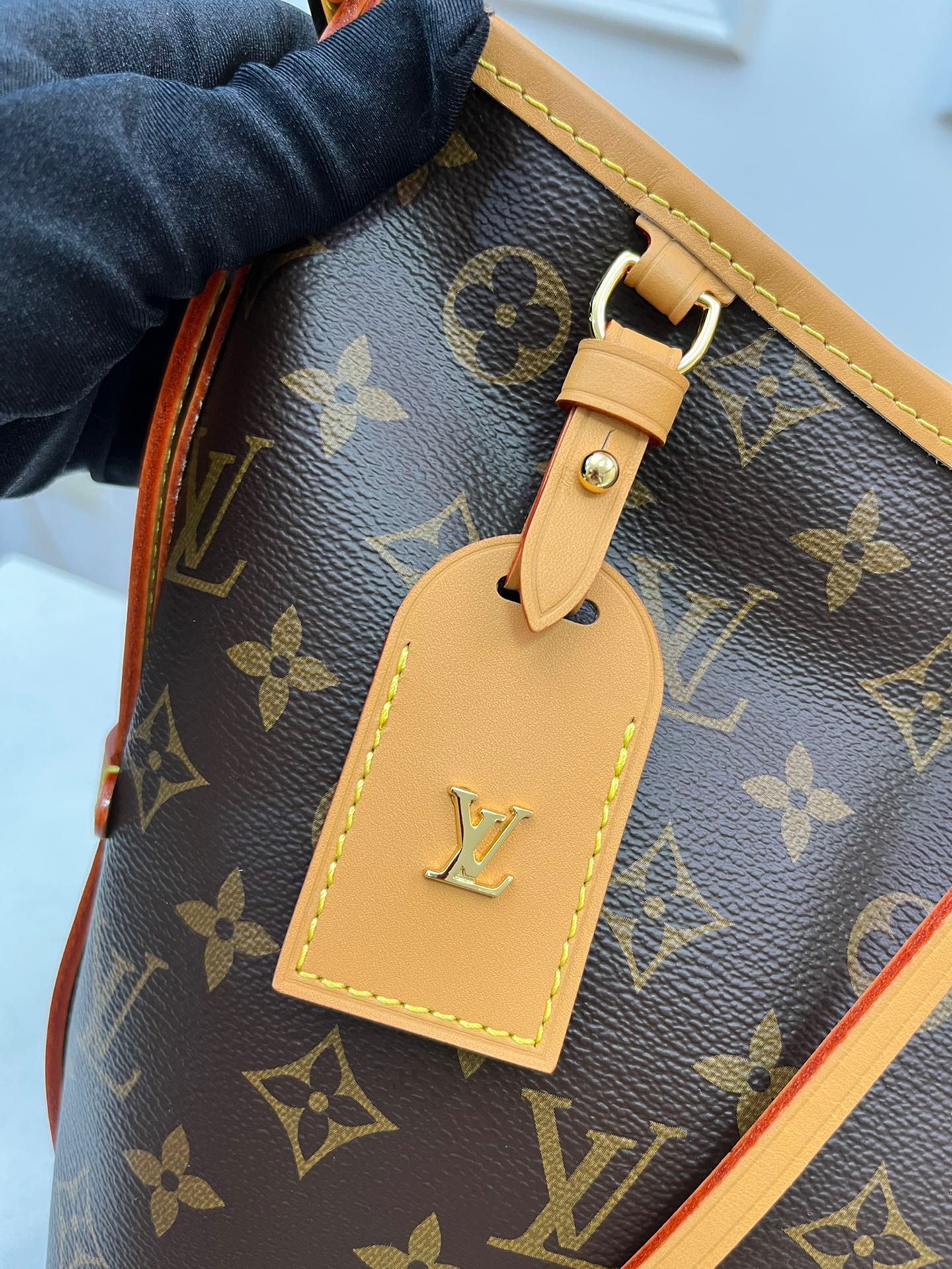 LV Carryall MM M46203 29cm