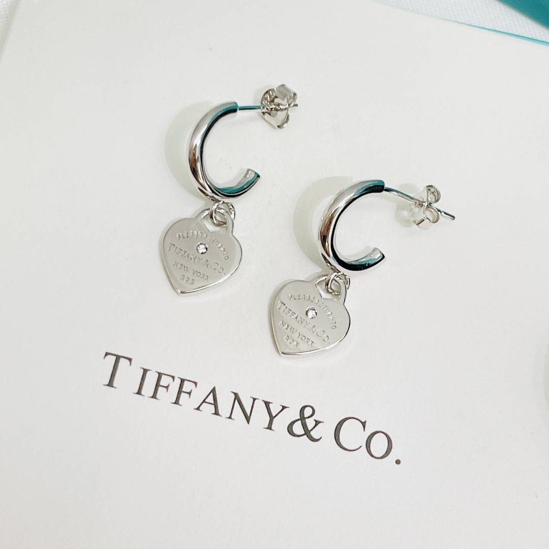 T*f*ny 925 silver earrings 002